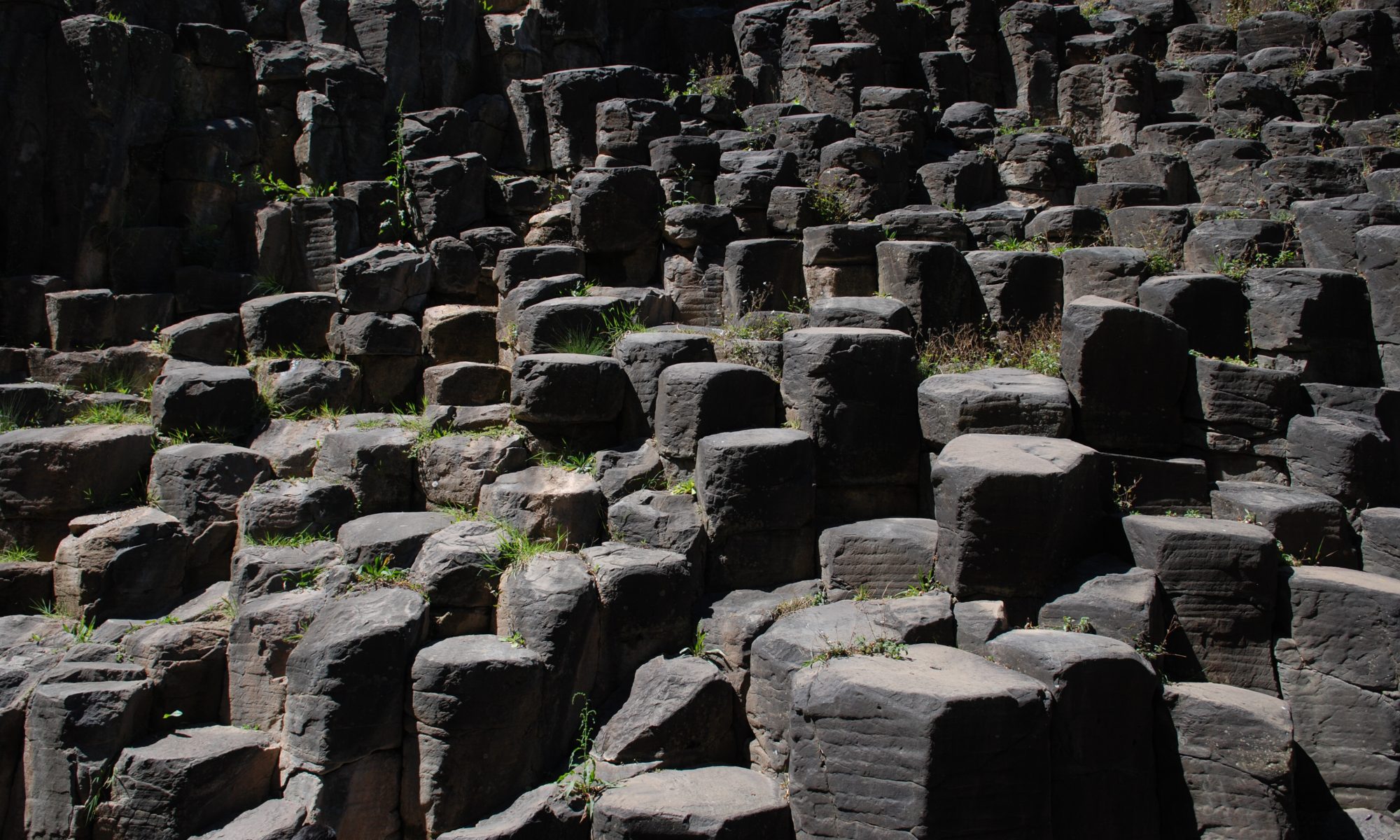 Sectores Industriales México