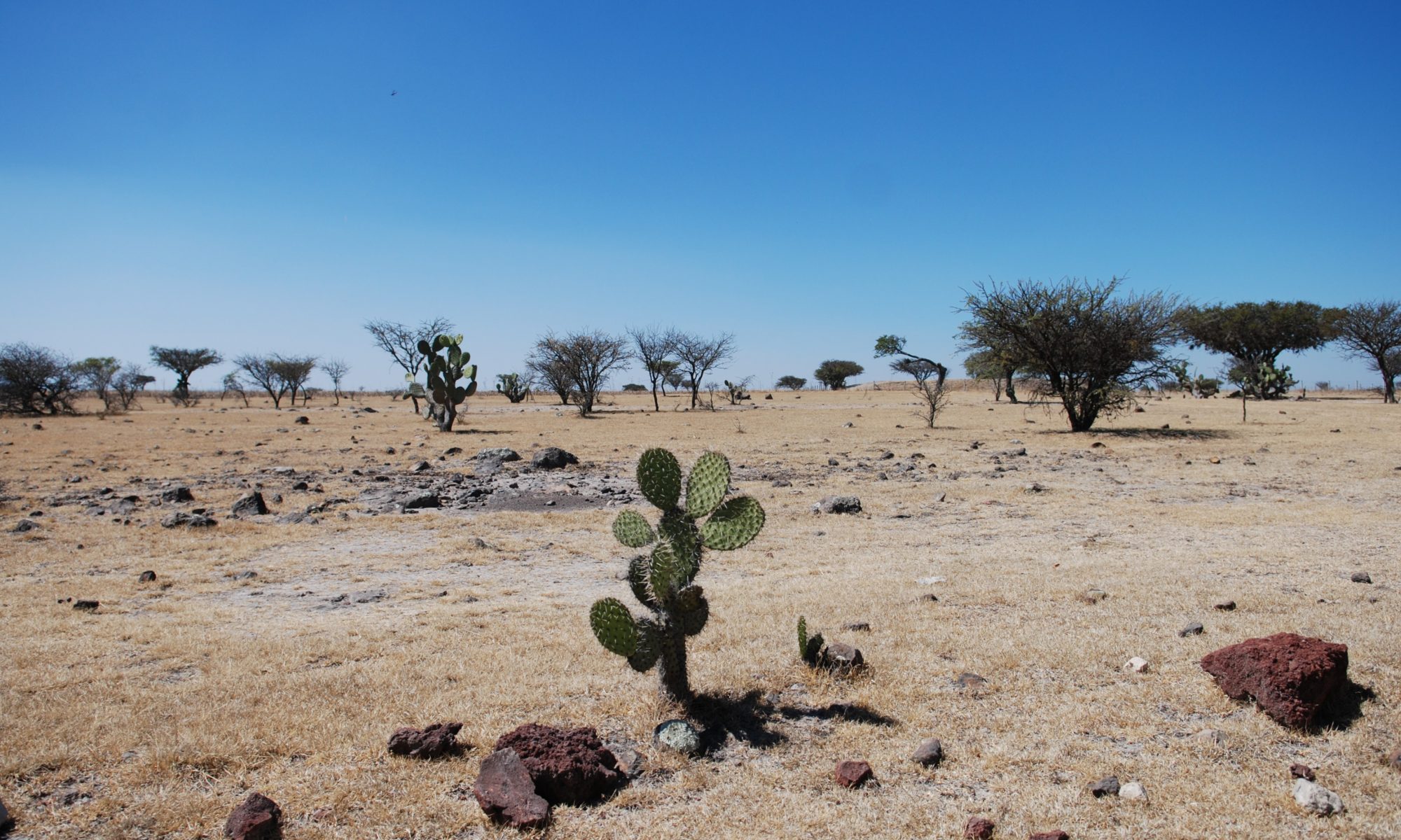 Cyra México - Requisitos del exportador o empresa exportadora