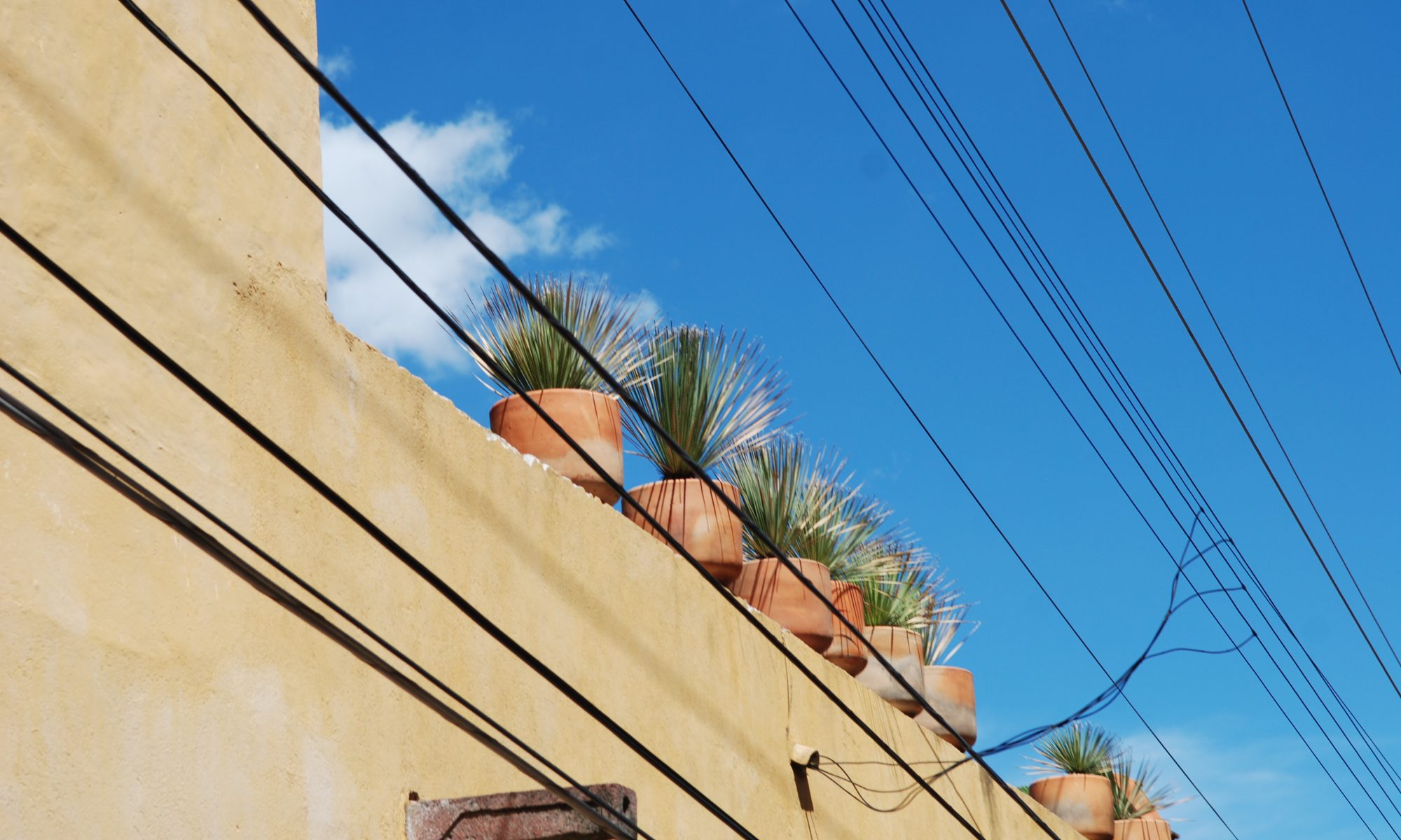 Cyra México - Perfil exportador